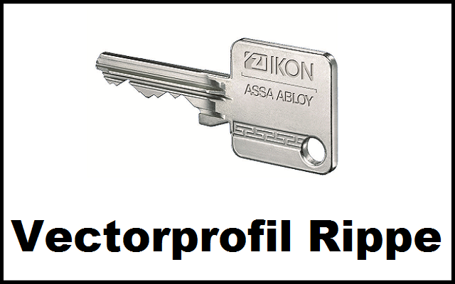 SK6 Vectorprofil Rippe