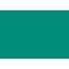 Farbauswahl RAL-Farben: RAL 6033 Minttuerkis