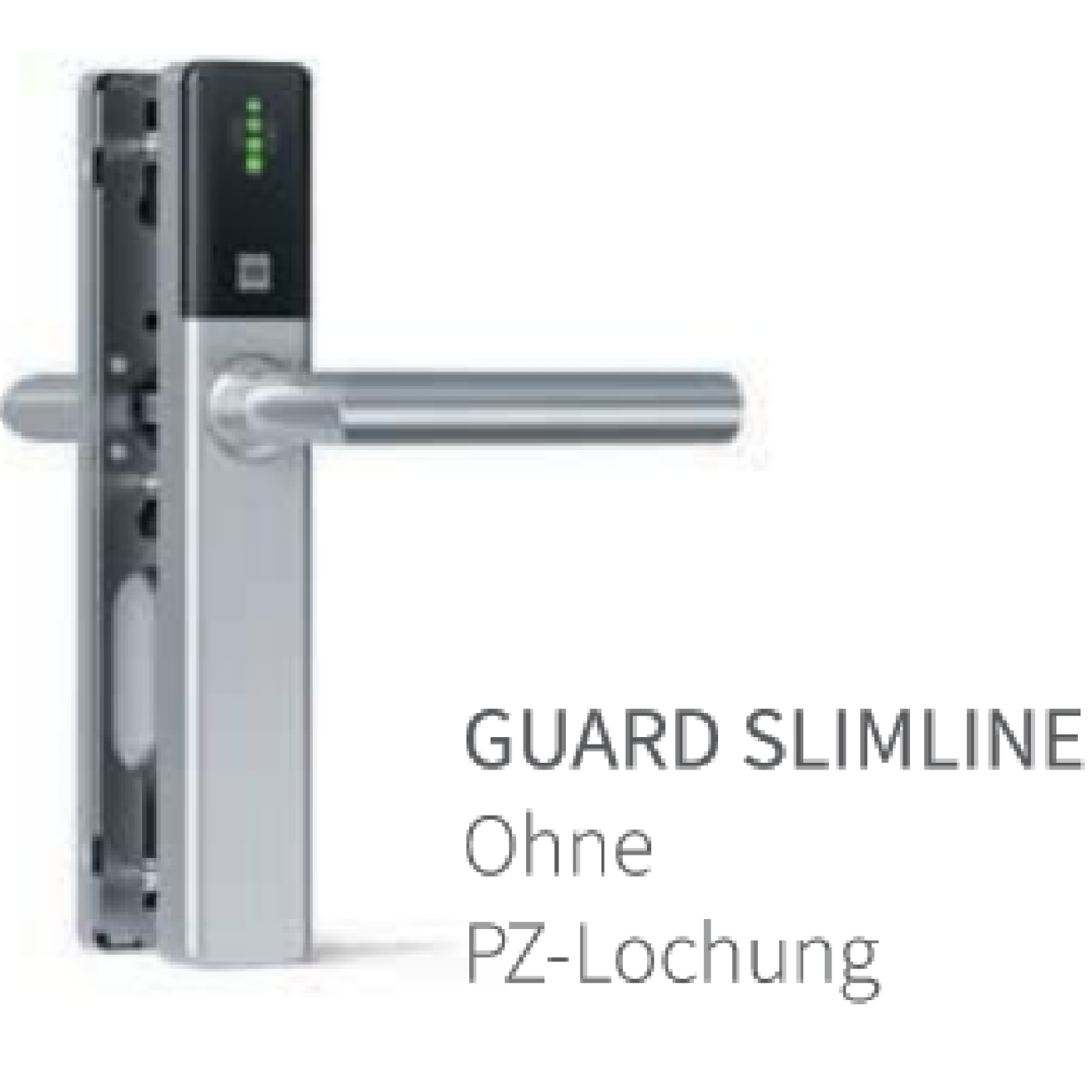 DOM ENiQ Guard Slimline Set 2-Seitig lesend Türbeschlag