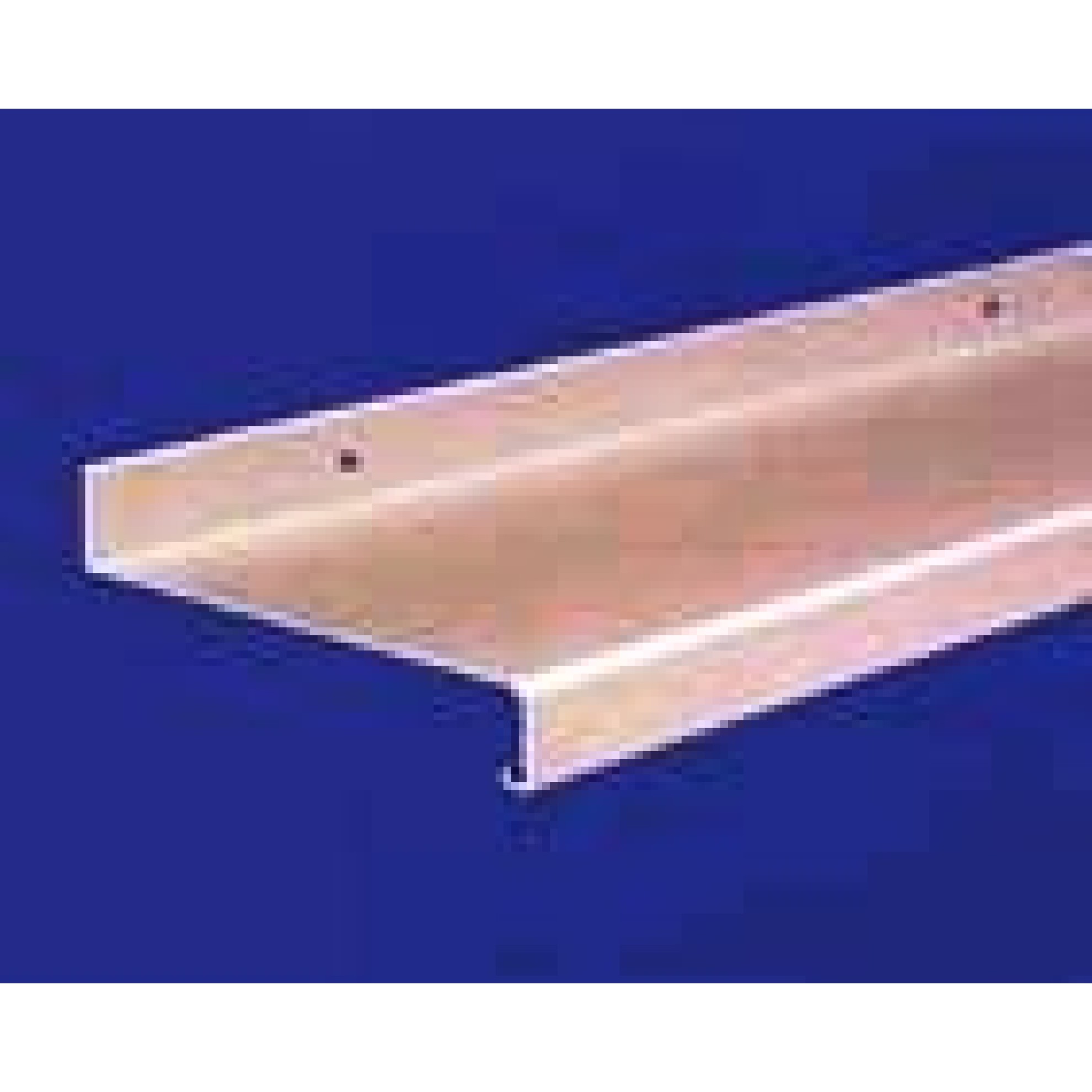 Alu Fensterbank blank Ausl.70mm Alu Fensterbank blank Ausl.70mm